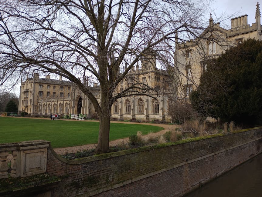 A large historic building with Gothic architectural features, including pointed arches and decorative stonework, is visible in the background of the image. In the foreground, a leafless tree with an extensive network of branches stands centrally, partially obscuring the building. The tree's textured bark and bare twigs are clearly visible, indicating a winter or early spring season. A well-maintained green lawn extends across the scene, bordered by a low brick wall with moss growth, which runs along a canal or narrow waterway at the front of the image. The water in the canal appears calm, reflecting the surrounding environment. On the left side of the image, two people are walking along a paved pathway, adding a sense of scale and activity to the scene. Overall, the environment portrays an outdoor setting adjacent to a historic site, with the landscaping and architectural details contributing to a formal, maintained appearance suitable for site maintenance or private clearance services occasionally required in such historic areas. The lighting is natural daylight with overcast conditions, providing soft, even illumination across the scene.