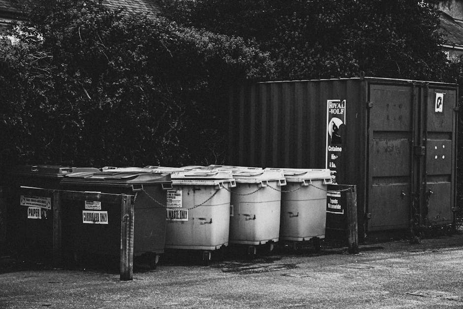 A row of five large, white plastic wheelie bins with closed lids, positioned on a paved surface in front of a dark, corrugated metal shipping container. The bins are uniform in size and shape, with some showing minor wear and dirt marks, and are aligned side by side. The shipping container, bearing a faded logo and signage, is situated towards the right side of the image, with its double doors closed and secured. To the left of the bins, there is a smaller black bin with a label indicating 'disposal only,' and a metal bollard adjacent to it. The background consists of overgrown foliage and trees, casting shadows across the scene, with natural light highlighting the textures of the waste containers and the surrounding environment. This scene appears to be an outdoor waste collection or storage area, reflecting private or independent rubbish disposal service practices, with Waste Removal Merton potentially involved in managing or collecting the waste shown.